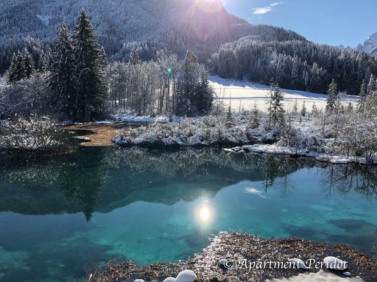 Vila Mojca Apartma Peridot - Center Kranjska Gora Esterno foto