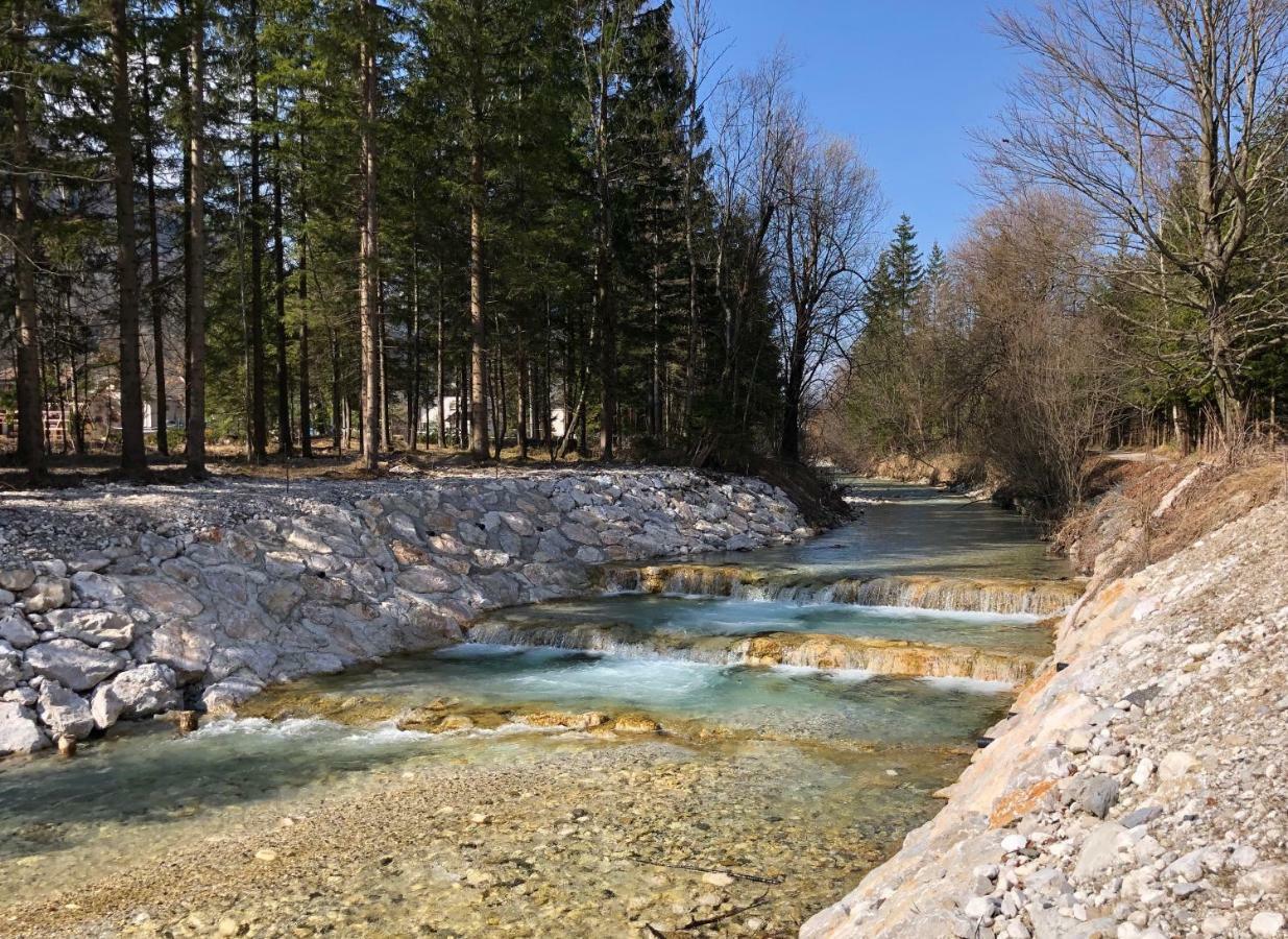 Vila Mojca Apartma Peridot - Center Kranjska Gora Esterno foto