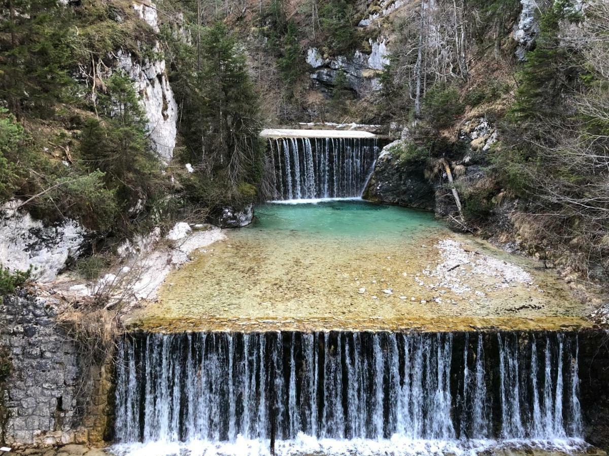 Vila Mojca Apartma Peridot - Center Kranjska Gora Esterno foto