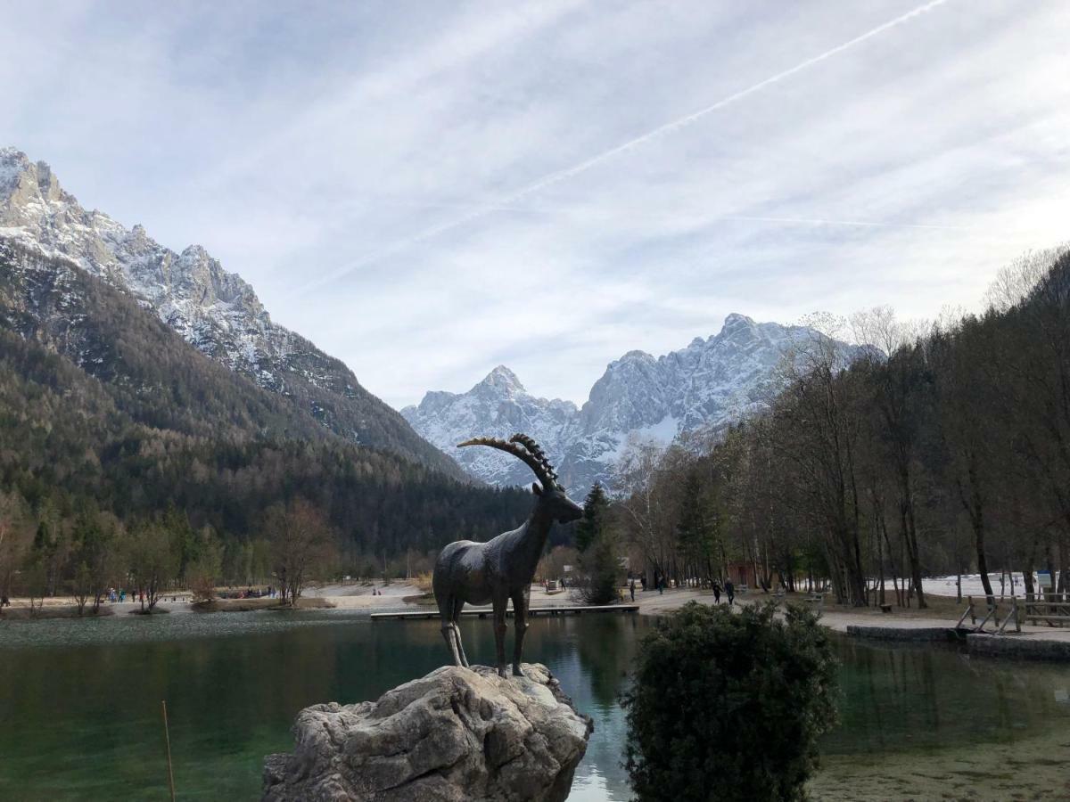 Vila Mojca Apartma Peridot - Center Kranjska Gora Esterno foto