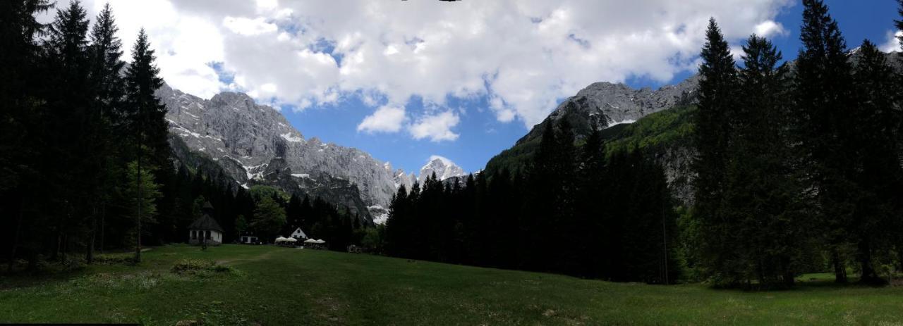 Vila Mojca Apartma Peridot - Center Kranjska Gora Esterno foto