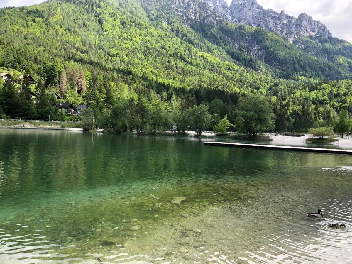 Vila Mojca Apartma Peridot - Center Kranjska Gora Esterno foto