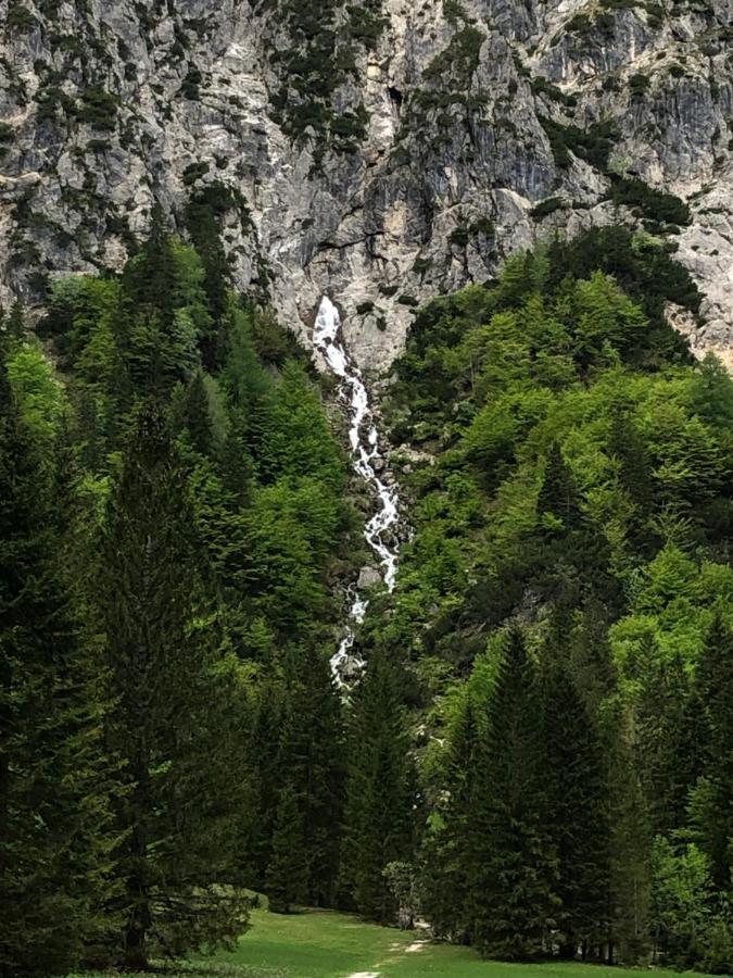 Vila Mojca Apartma Peridot - Center Kranjska Gora Esterno foto